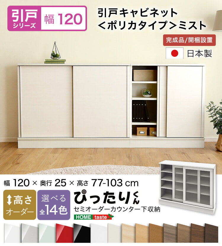 【2025新春セール！ポイント10倍!!!!】【引戸シリーズ】セミオーダーカウンター下収納ぴったりくん キャビネット(ポリカタイプ ミスト) 幅120cm×奥行25cm