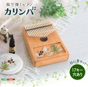 【送料無料!!】指で弾くピアノ カリンバ初心者セット ハンドメイドタイプ 17キー 穴有