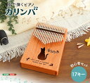 【送料無料!!】指で弾くピアノ カリンバ初心者セット 絵柄付きタイプ