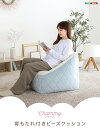 【送料無料!!】大人かわいいインテリア 背もたれ付きビーズソファ 【Chammy -チャミー-】(2)