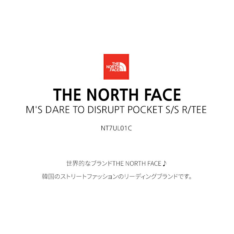 THE NORTH FACE WHITELABEL 韓国別注 ノースフェイス M'S DARE TO DISRUPT POCKET S/S R/TEEノースフェイスはあえてポケットS/S/Tee 男性用 女性用 男女共用 NT7UL01C