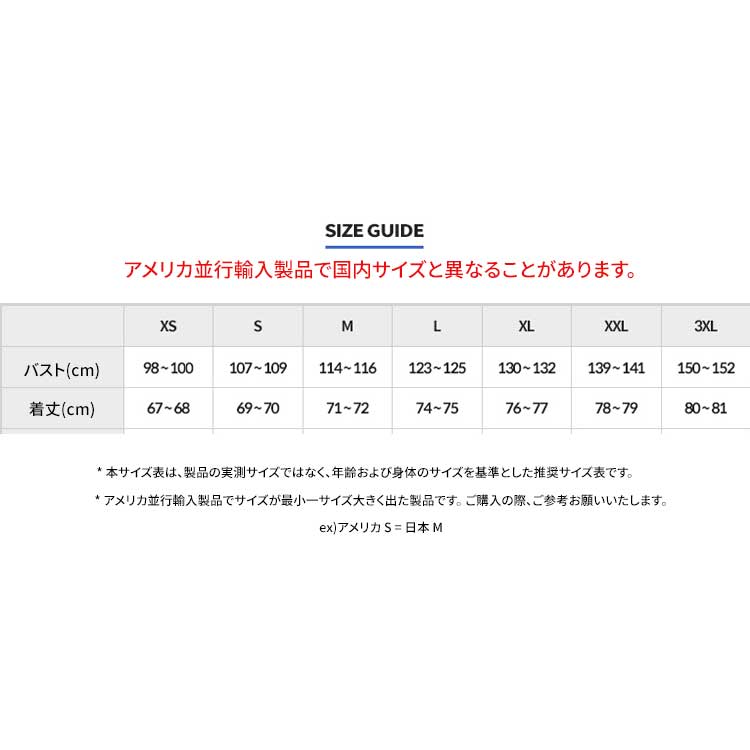 THE NORTH FACE 米国並行輸入 ザノースフェイス メンズ サーモボール 軽量ジャケット ダウンジャケット 韓国ファッション デイリールック