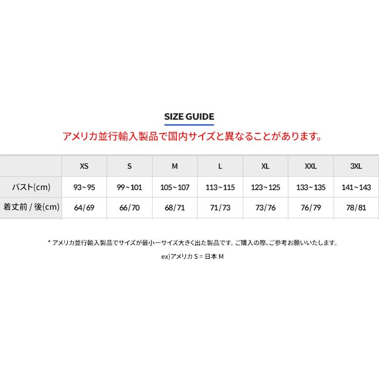 THE NORTH FACE 米国並行輸入 ザノースフェイス メンズ フリース ハーフジップアップ 長袖 韓国ファッション デイリールック