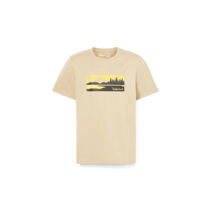 ティンバーランド [ティンバーラン