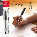 【送料無料】筆ごこち 黒 墨液 呉竹 筆風サインペン ふでペン くれたけ LS1-10S 直液式 水性顔料インキ インクジェット紙対応 硬筆 年賀状 はがき 手...