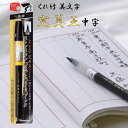 【送料無料】美文字 完美王 中字 墨液 呉竹 筆ペン ふでペン くれたけ XO50-10S カートリッジ式 墨インク 水性顔料インク 耐久性 まとまり コシ 毛...