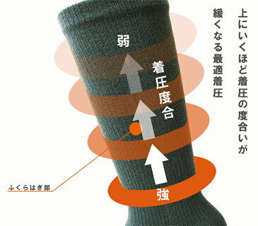 【ガッツマン】FD-01 3足組 五本指ソックス デイリー 通常業務 生地厚★☆☆【日本製 ビジネス 蒸れにくい 締め付けない フィット感抜群 高品質 防災の日】機能性サポート