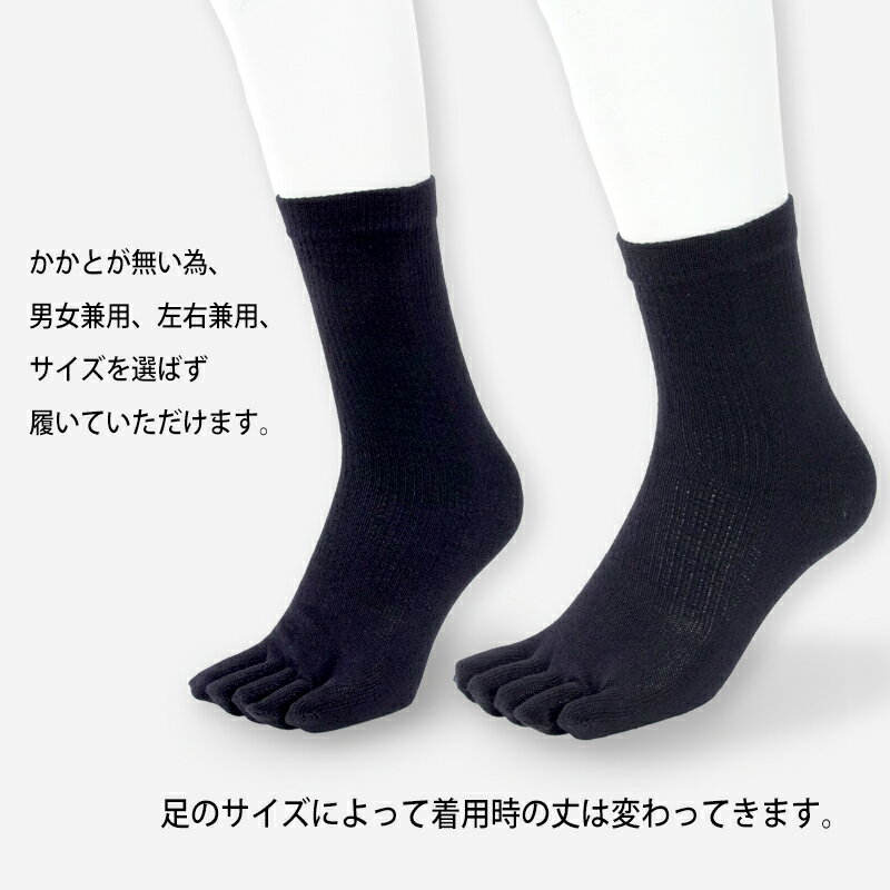 かかとなし五本指ソックス　紺 日本製 フリーサイズ 男女兼用 左右兼用 在庫限り限定品 かかとがないので誰でも履ける 夏に気持ちいい靴下