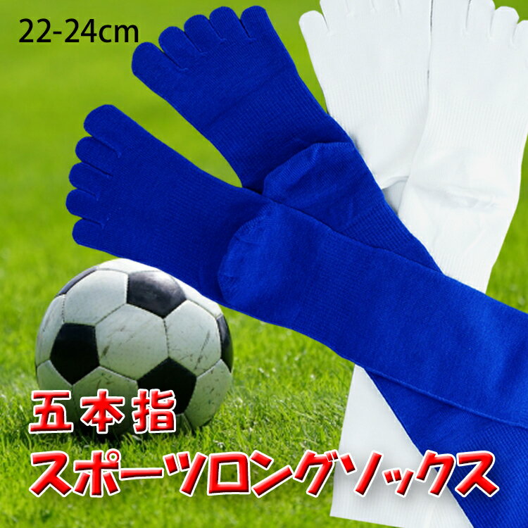 HP304 五本指スポーツロングソックス22-24cm 【日本製　サッカー　野球　バレーボール　バスケットボール　スポーツ　ハイソックス　五本指靴下　お買い得　激安】