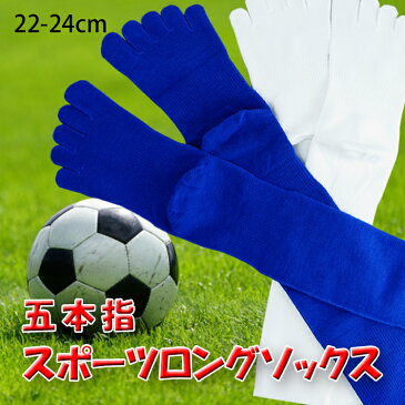 HP304 五本指スポーツロングソックス22-24cm 【日本製 サッカー 野球 バレーボール バスケットボール スポーツ ハイソックス 五本指靴下 お買い得 激安】