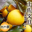 土佐文旦 5kg 露地ぶんたん 高知産 光センサー選果 ご家庭用 L～3Lサイズ 送料無料 文旦 ブンタン ぶんたん ぼんたん 糖度 ギフト プレゼント フルーツ みかん