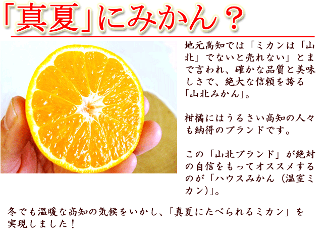 ハウスみかん 約5kg 送料無料 化粧箱入 М～Lサイズ 高知県山北産 光センサー選果 温室栽培 温州みかん ミカン 濃厚 糖度 プレゼント ギフト お中元 父の日 chokuhan-10035509 アグリファーム高知 サンプル画像3