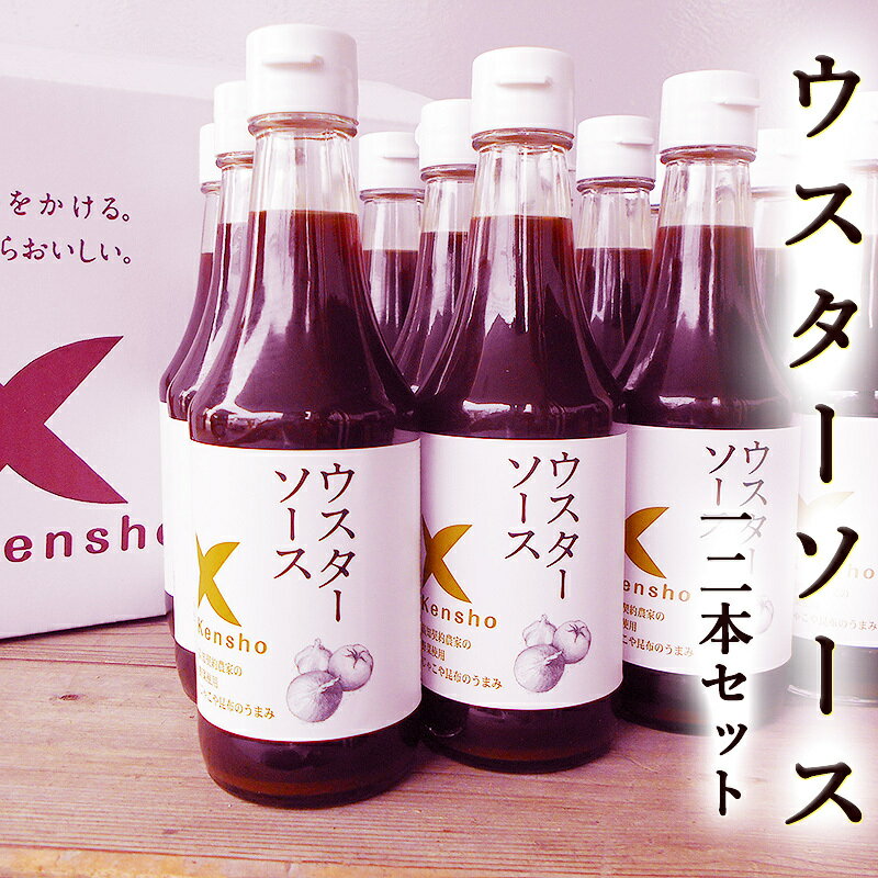 ウスターソース 300ml×12本セット プ