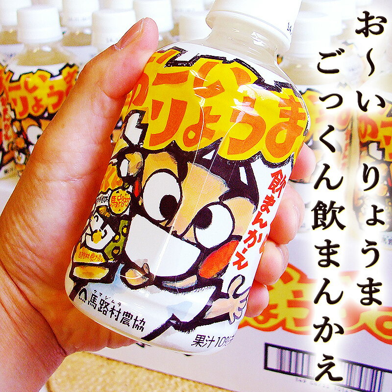 おーいりょうま、ごっくん飲まんかえ 280ml×24本セット ペットボトル入 送料無料 ゆずと蜂蜜だけ 高知 ..