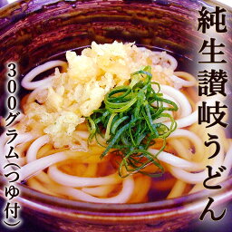 讃岐うどん 純生タイプ 300g×1袋 つゆ付き 香川産 本場 udon 生うどん コシ もちもち さぬきうどん かけ ぶっかけ 釜揚げ 釜玉 ざる 冷やし しっぽく きつね 月見 天ぷら カレー 四国 ご当地 取り寄せ ギフト