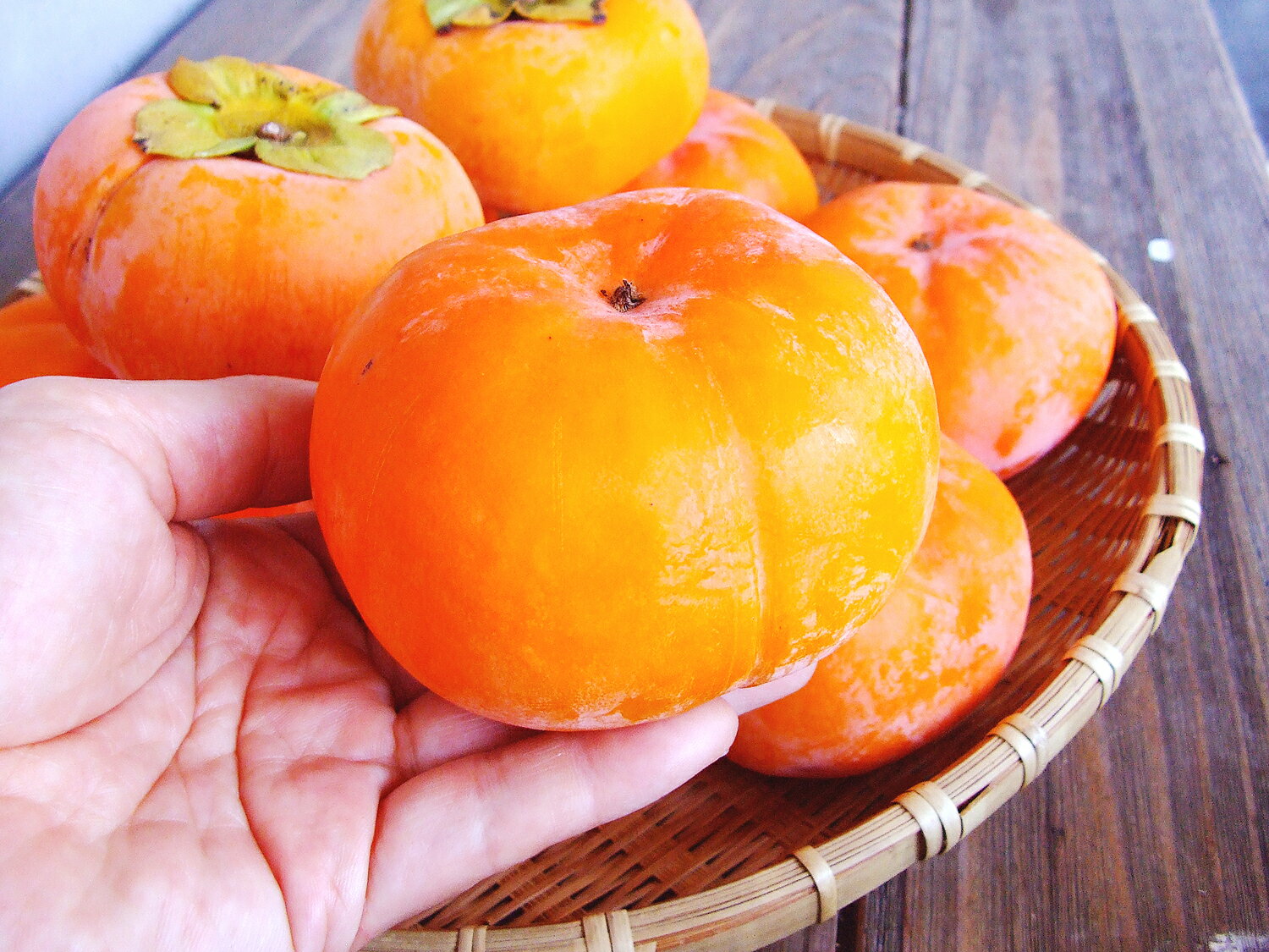 次郎柿 じろうがき 高知産 秀品ランク まとめて1箱 約7kg（箱満杯詰）