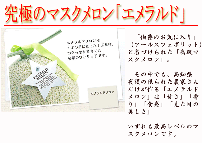 エメラルドメロン 高級マスクメロン 隔離栽培 約1.3キロ 1玉 高級化粧箱入 高知産 送料無料 ギフト プレゼント 産地直送 最高級 内祝い 出産祝い 結婚祝い お祝い お返し ご自宅用