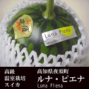 食品・ドリンク・酒通販専門店ランキング30位 ルナ・ピエナ 高級すいか 高知県夜須町産 約2キロ 糖度検査済 南国土佐の高級すいか 食品・ドリンク・酒通販専門店ランキング30位 ルナ・ピエナ 高級すいか 高知県夜須町産 約2キロ 糖度検査済 南国土佐の高級すいか