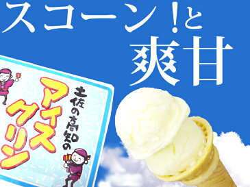 ★[送料無料]土佐の高知のアイスクリン◆1リットル×12箱セット★[凍]※代金引換は＋324円です。他商品との同梱はできません。