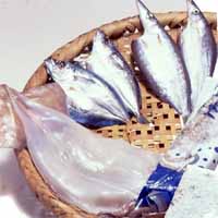 ★[送料無料]土佐の旨いもの尽くしセット（中サイズ／海の幸詰め合わせ）[凍]※代金引換は手数料+330円必要です送料無料！のサムネイル