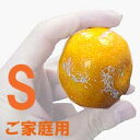 ★送料無料!高知名産「山北みかん」ご家庭用Sサイズ5kg★(やまきたみかん)※代金引換は手数料+324円必要です 【smtb-KD】【RCP】【05P13Nov14/02P13Nov14】 - アグリファーム高知