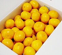 日時指定不可！だから安い！★[送料無料]◆ドカンと5kg箱！四国のアウトレットみかん（サイズ・産地おまかせ品）★※クール便は＋300円・代金引換は＋330円必要。のサムネイル