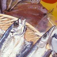 ★土佐の旨いもの尽くしセット（小セット＝一夜干しなど詰合せ）★[凍]【Cool delivery】のサムネイル