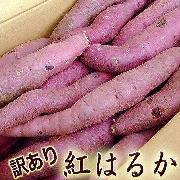 わけあり 紅はるか べにはるか 約5キロ M〜Lサイズ 高知産 新種の蜜芋 焼芋専用 高糖度 甘い ネットリ さつまいも サツマイモ ベニハルカ 焼き芋 やきいも スマステ はなまる