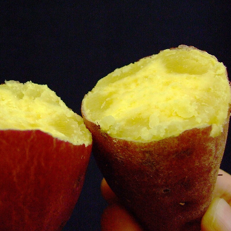 ������� ��5kg ���Ĥޤ��� M��L������ ����̵�� �ں���� ���λ� �� ����Ȥ��� ���14�� �Ž� ��ʪ���� ��������� �ں��� �Ƥ��� ŷ�פ� ��ŷ ������ ��ذ� �������� �껳����