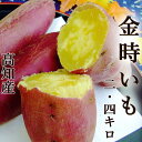 金時いも 2.4kg さつまいも M〜Lサイズ 送料無料 土佐金時 高知産 国産 きんとき芋 高系14号 甘藷 食物繊維 セルロース 土佐紅 焼き芋 天ぷら 芋...