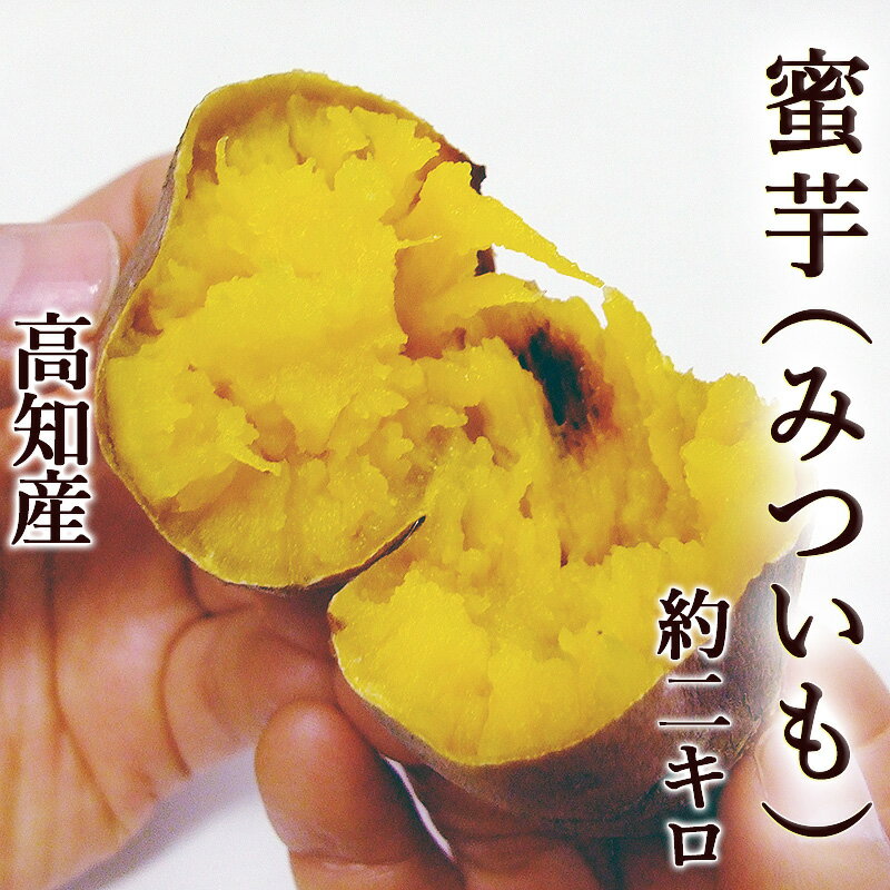 蜜芋 みついも 安納芋品種 約2キロ 焼き芋専用 M〜Lサイズ 高知産 送料無料 焼芋専用 高糖度 甘い ネットリ さつまいも サツマイモ 安納芋 ミエルスイート 焼き芋 やきいも スマステ はなまる