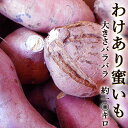 わけあり 蜜芋 約10キロ 焼き芋専用 高知産 送料無料 キズあり 大きさバラバラ みついも 安納芋品種 ミエルスイート 焼芋専用 高糖度 甘い ネットリ さつまいも サツマイモ 安納芋 ミエルスイート 焼き芋 やきいも スマステ はなまる(4)