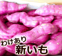 わけあり 新さつまいも 新いも 約5kg 高知産又は徳島産 送料無料 さつまいも 掘りたて掘りたて きんとき芋 金時いも さつまいも 高系14号 焼き芋 天ぷら...