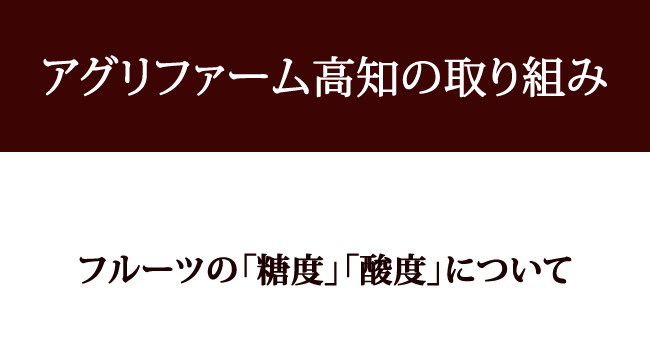 土佐小夏 おためし用4玉 高知産 ご家庭用 М～Lサイズ 光センサー選果 小夏 こなつ ニューサマーオレンジ 日向夏 糖度 酸度 ギフト プレゼント 母の日 お中元 フルーツ みかん