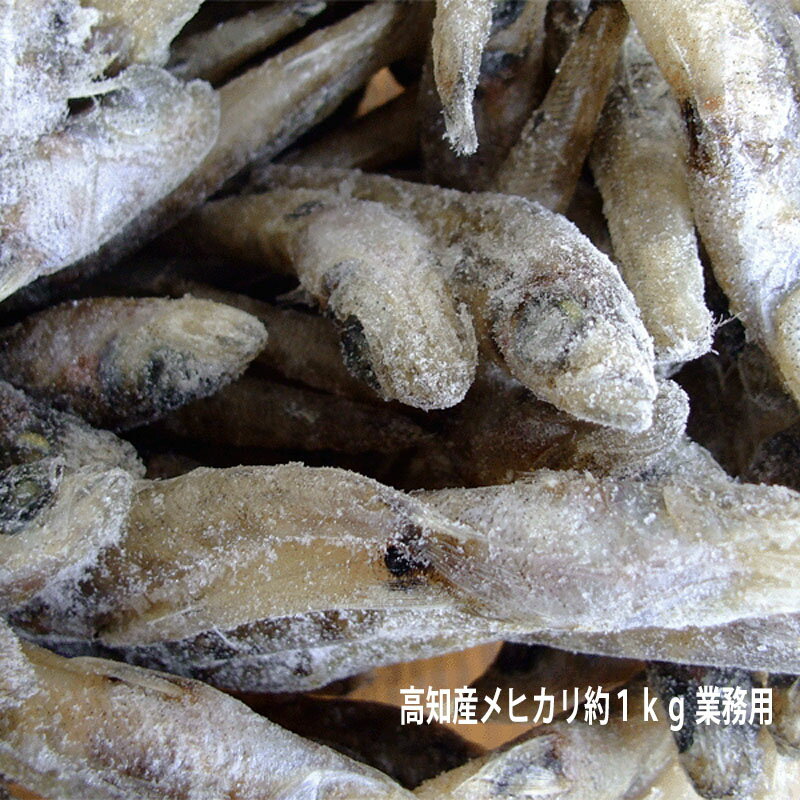 メヒカリ めひかり 約1kg ドレス エソ 国産 業務用 唐揚げ、南蛮漬け、天麩羅などに（TKBS)のサムネイル