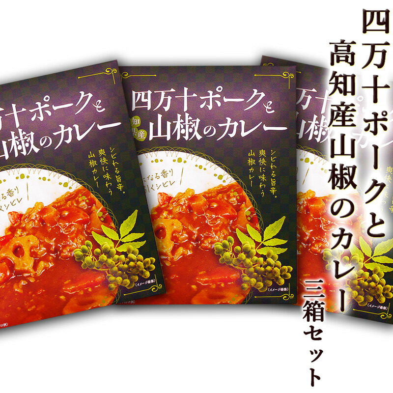 四万十ポークと高知産山椒のカレー 200g×3個 3人前 中