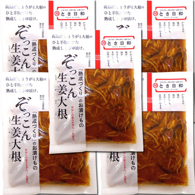 メール便 ぞっこん生姜大根 80g 5個セット 生姜と大根の熟成しょうゆ漬け 高知産生姜使用 送料無料