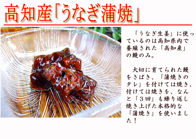 うなぎ生姜 80g×3個セット 高知産鰻と高知産黄金生姜使用 ご飯のお供、酒の肴に ギフト 高知産 うなぎ ウナギ 鰻 蒲焼き 国産 土用丑の日 敬老の日 ギフト プレゼント 内祝い お返し 誕生日 お歳暮 お中元