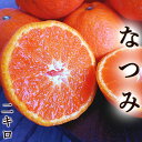 みかん なつみ 南津海 2kg 送料無料 ご家庭用 高知産 山北産 L〜3Lサイズ ギフト 母の日 お中元 フルーツ ポンカン カラマンダリン みかん