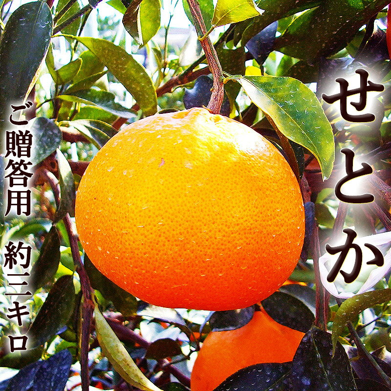 ���Ȥ� ��3���� ���λ� ��£���ѹ���� ����Ȣ�� 10��14�̤ۤɡ� ���͹� ����̵�� ��鴻�̡���� ���� ���󥳡��� �ޡ����å� ���ե� �ץ쥼��� �ե�...