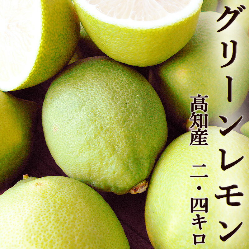 グリーンレモン 2.4kg 高知産 送料無料 ご家庭用 ノーワックス 青切りレモン 檸檬 国産 酸味 爽やかな香り ハウス栽培 多少キズ有 レモンサワー ギフト プレゼント 産地直送 敬老の日