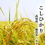 こしひかり 2キロ 無洗米 高知県産 令和4年産 BG米 精米 お米 こめ 白米 ご飯 ごはん コシヒカリ ギフト プレゼント 産地直送 銀シャリ