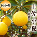 土佐小夏 2.4キロ 高知産 ご家庭用 М〜Lサイズ 光センサー選果 送料無料 小夏 こなつ ニューサマーオレンジ 日向夏 糖度 酸度 ギフト プレゼント 母の...