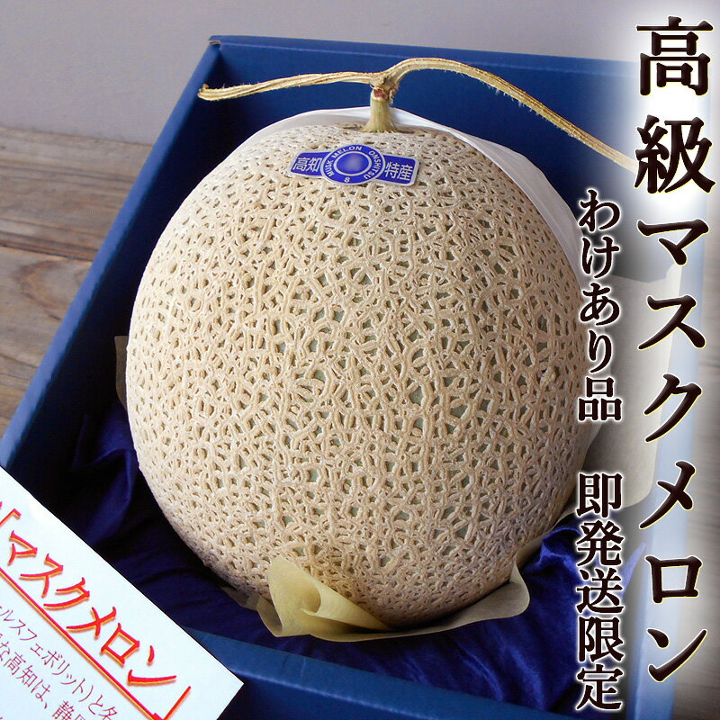 �櫓������ ���ޥ�������� 1�� ����̵�� ��¨ȯ������� ��1.3kg ���λ� ����Ȣ�ˤ����äƤ���ޤ���