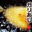 ガリあじ 4尾セット 特大あじフライ 約480グラム(2尾セット×2袋) 高知産鯵使用★龍禾のガーリックアジフライ 特大サイズ【Cool delivery】