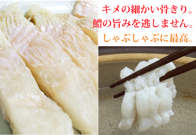 味わい深く上品な国産鱧 はも 売り込み 骨切り済みなので調理は簡単 はもちり 落とし 湯引き しゃぶしゃぶ はもすき 唐揚げ 天ぷらなどに 鱧 骨切り 約500g 250g 2 ハモ ギフト 国産 歯魚 天ぷら プレゼント フィーレ お中元 骨切り加工済み 無漂白 高知産又は徳島産 味わい深く上品な国産鱧 はも 売り込み 骨切り済みなので調理は簡単 はもちり 落とし 湯引き しゃぶしゃぶ はもすき 唐揚げ 天ぷらなどに 鱧 骨切り 約500g 250g 2 ハモ ギフト 国産 歯魚 天ぷら プレゼント フィーレ お中元 骨切り加工済み 無漂白 高知産又は徳島産