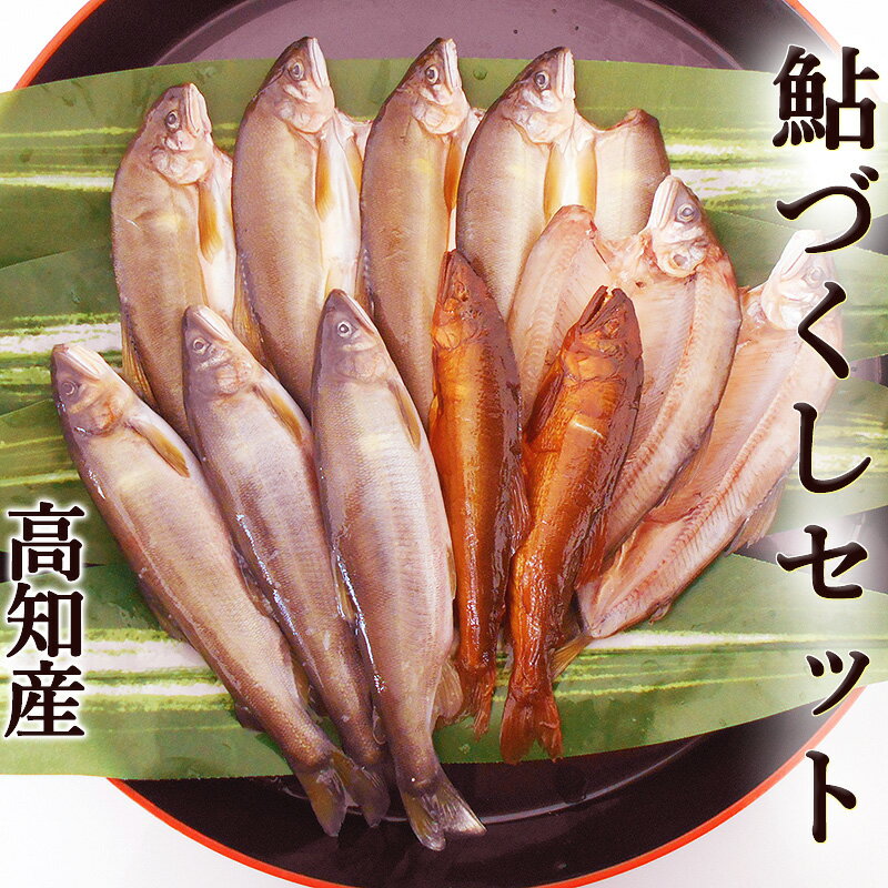 鮎づくしセット 高知産 送料無料 アユ あゆ 養殖 香魚 四万十鮎一夜干し6尾 子持ち鮎3尾 焼鮎甘露煮2尾 国産 干物 子持ちあゆ 焼鮎 四万十煮 甘露煮 塩焼き たまご ギフト プレゼント お中元 お歳暮