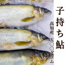 子持ち鮎 500g 高知産 5尾前後 送料無料 国産 養殖 子持ちあゆ 香魚 塩焼き 甘露煮 たまごがぎっしり 鮎 アユ ギフト プレゼント お中元 お歳暮