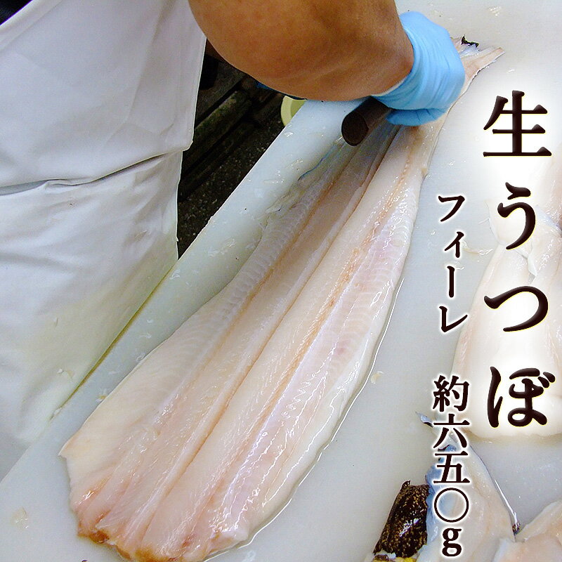 生ウツボ フィーレ 約650g 国産 高知で加工　加熱用 骨...