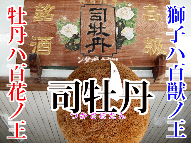 マキノジン 700ml クラフトジン 牧野富太郎博士 らんまん スピリッツ スエコザサ 司牡丹 限定品 佐川町 リッキー ジントニック マティーニ ギムレット ギフト プレゼント 20歳未満の方はお買い物できません